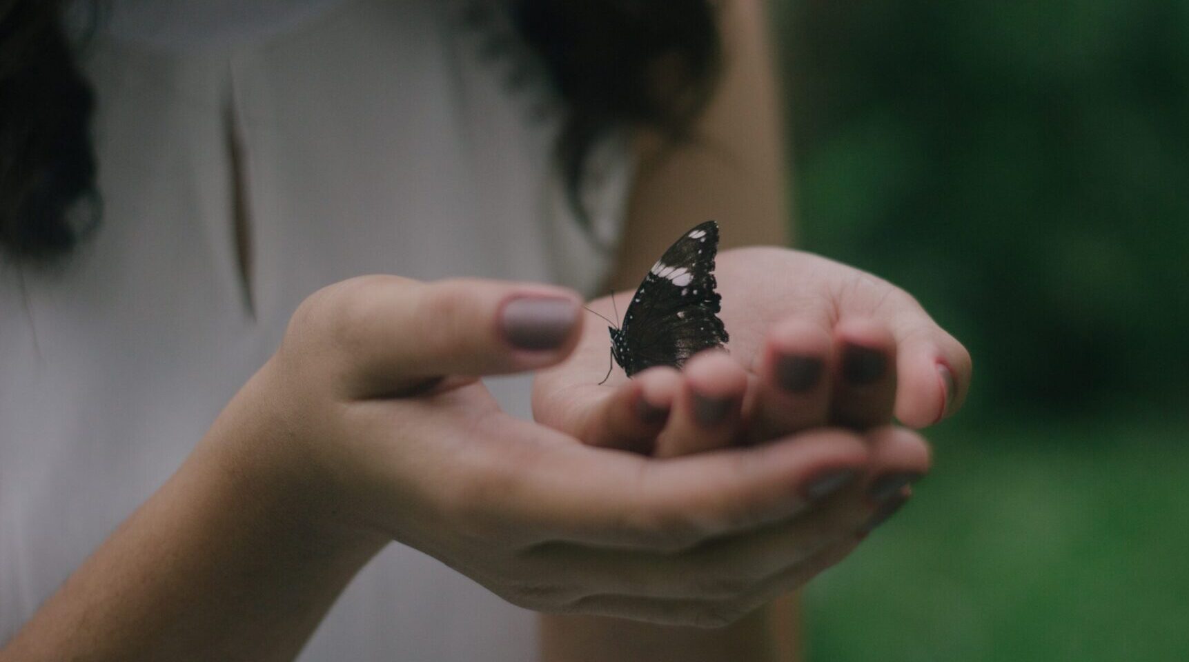 reign-abarintos-jMFo7nlYpUc-unsplash reign-abarintos-jMFo7nlYpUc-unsplash